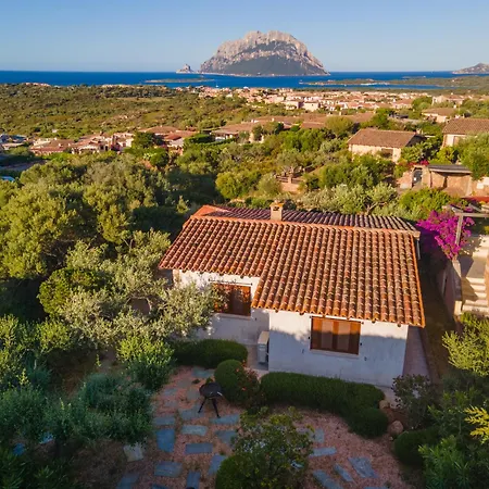 Sa Muda By Domusaway 别墅 *