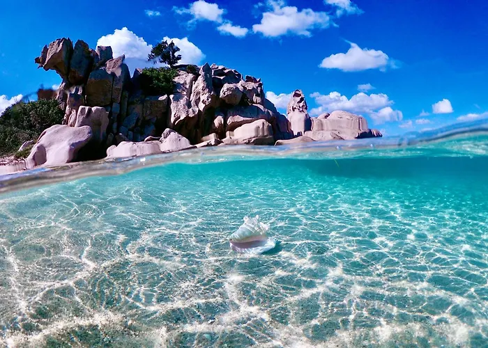 别墅 Sa Muda By Domusaway *