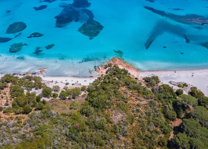 Sa Muda By Domusaway 别墅 *