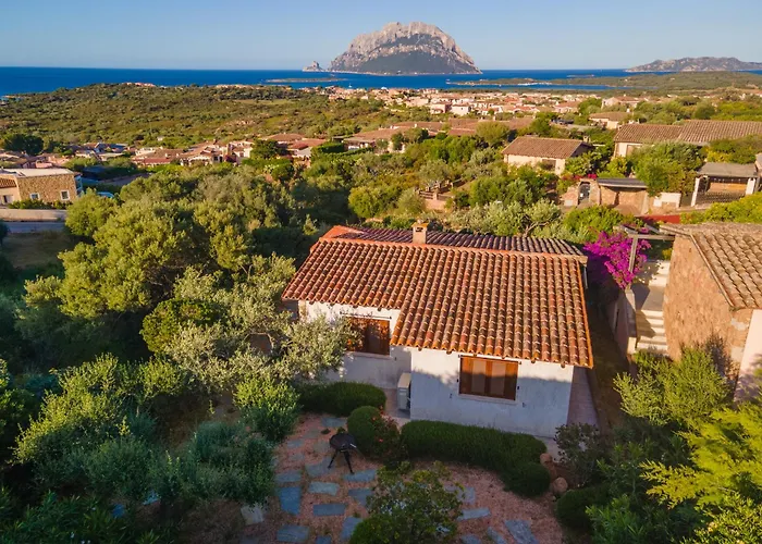 Sa Muda By Domusaway 别墅 *